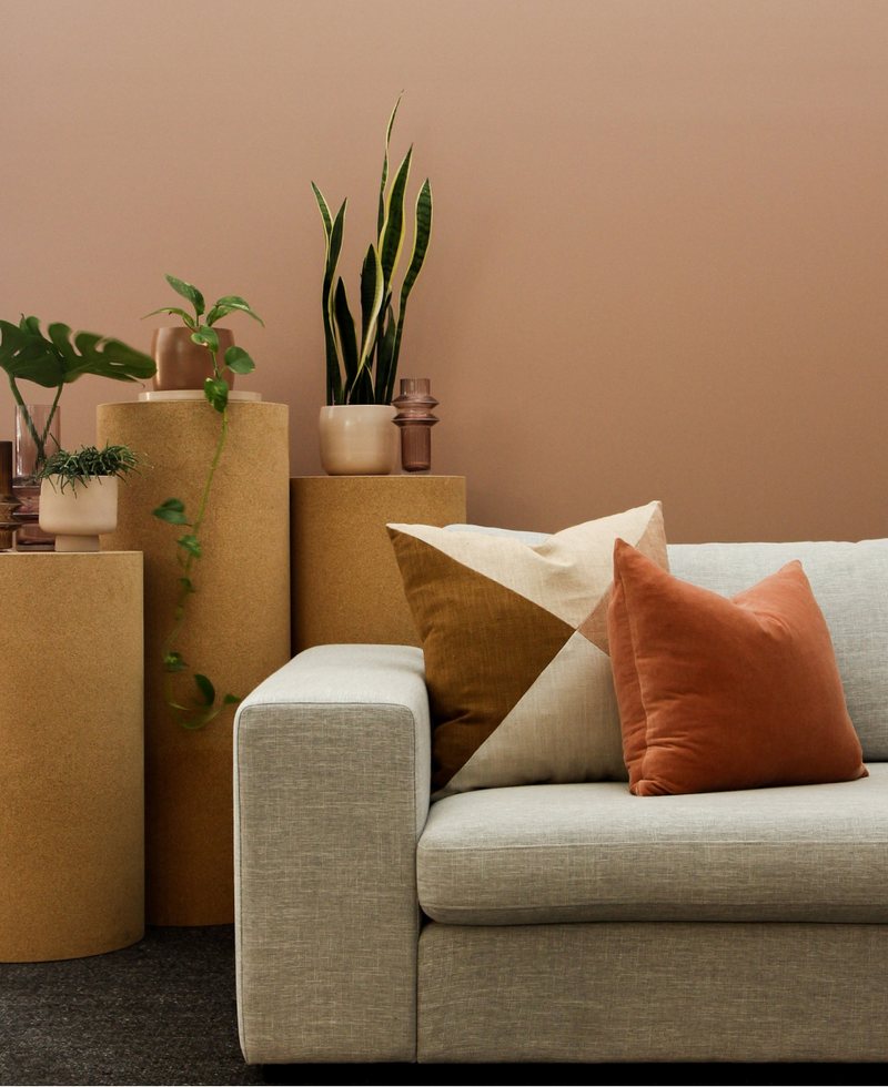 Living room with a sofa and plants